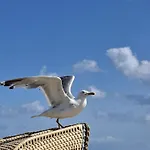 Direkt Am