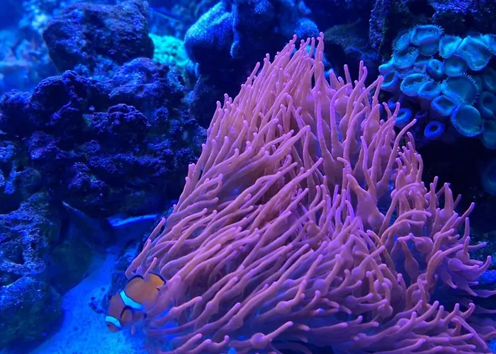 Apartamento Direkt Am Fehmarn