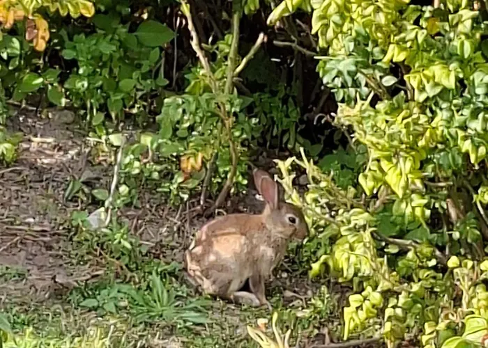 Apartamento Direkt Am Fehmarn